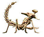 Scorpion