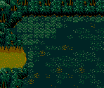Swamp & Desert
