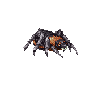 Venomous Spider Yellow