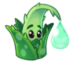 Aloe