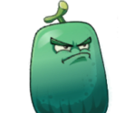 Wax Gourd Guard
