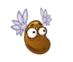 Coffee Bean