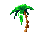 Palm Tree