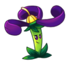 Nightshade