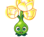 Gold Bloom
