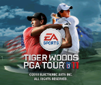 Wii Menu Banner & Icon