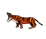 Shere Khan