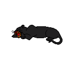 Bagheera