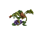Mantrap Plant