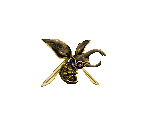 Corsair Beetle