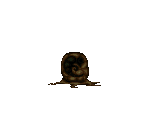 Bug Pod