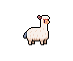 Alpaca