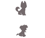 Screen Border