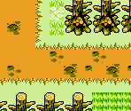 Western Woods