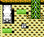 Wind Ruins