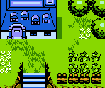South Hyrule Field