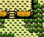 Castor Wilds