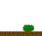 Stage 15