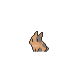 Rabbit Cub (Spot)
