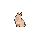 Rabbit (Siamese)