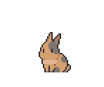 Rabbit (Spot)