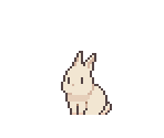 Rabbit (White)