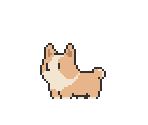 Corgi (Naples Yellow)