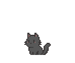 Cat Cub (Black)