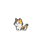 Cat Cub (Calico)