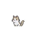 Cat Cub (American Shorthair)