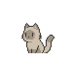 Cat (Siamese)