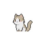 Cat (American Shorthair)