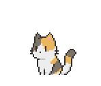 Cat (Calico)