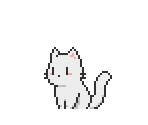 Cat (White)