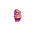 Wario (Super Mario Bros. 2-Style)