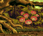Forest Planet 2