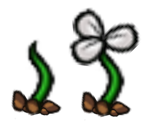 Sprout