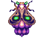 Fruit Fly
