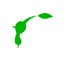 Pikmin