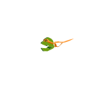 Michelangelo