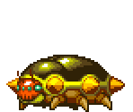 Gold Beetle