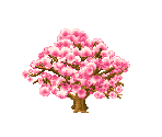 Seasonal Trees
