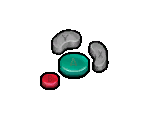 Buttons
