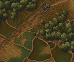 Stage 7