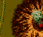 Stage 09
