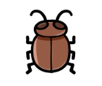 Cockroach vs Slippers