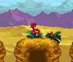 Baron Desert