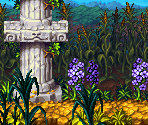 Pumpkin and Lilac Fields