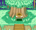 Wild Woods