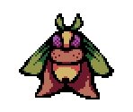 Moth